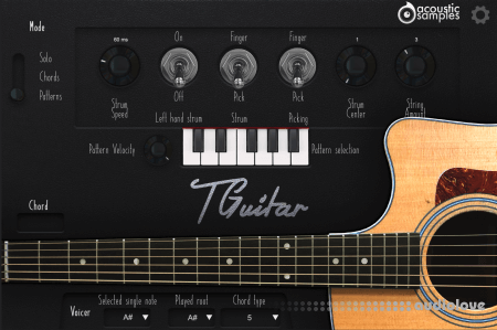 Acoustic Samples TGuitar : A Songwriter's Dream
