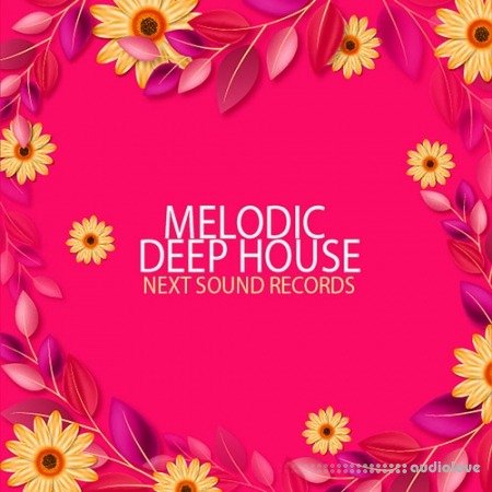 Next Sound Records Melodic Deep House