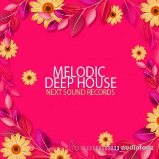 Next Sound Records Melodic Deep House