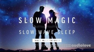 Sonic Academy Slow Magic Slow Wave Sleep