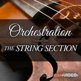 Ask Video Orchestration 101 The String Section