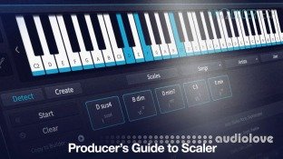 Producertech Producer's Guide to Scaler