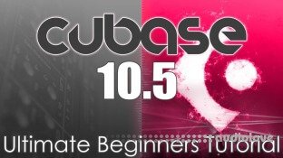 Born To Produce Cubase 10.5 Beginers