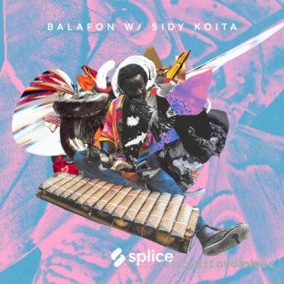 Splice Sessions Balafon with Sidy Koita