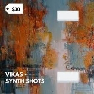 Vikas Synth Shots Library