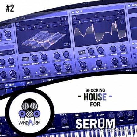 Vandalism Shocking House For Serum 2