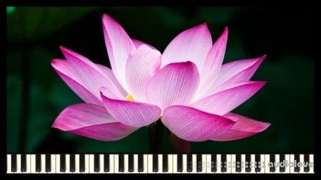 Udemy How to Compose Relaxing Music