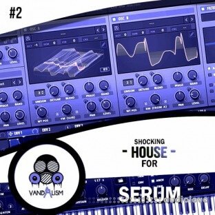 Vandalism Shocking House For Serum 2