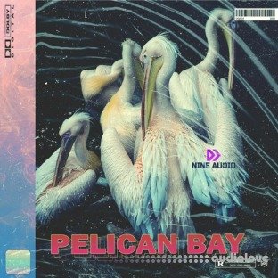 Nine Audio Pelican Bay