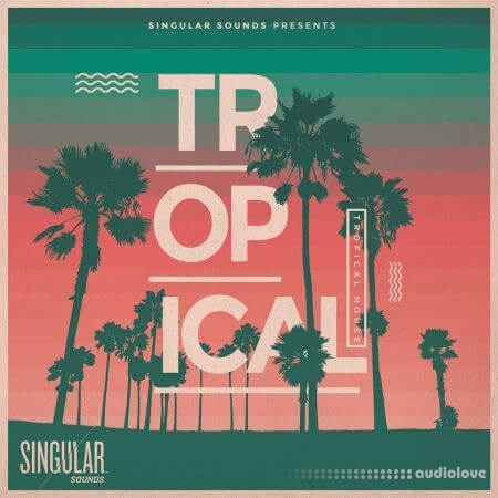 Singular Sounds Tropical House