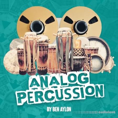 RARE Percussion Analog Percussion by Ben Aylon