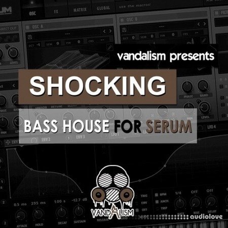 Vandalism Shocking Bass House