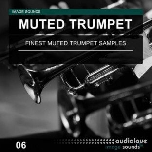 Image Sounds Muted Trumpet 06