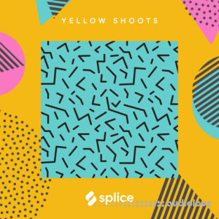 Splice Originals Alt RnB Guitars with Yellow Shoots