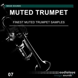 Image Sounds Muted Trumpet 07