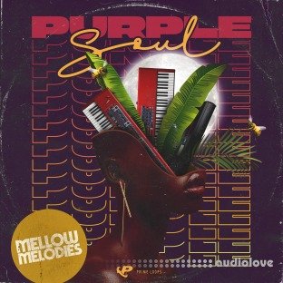 Prime Loops Purple Soul