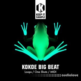 Keep It Sample Kokoe Big Beat