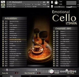 Best Service Emotional Cello