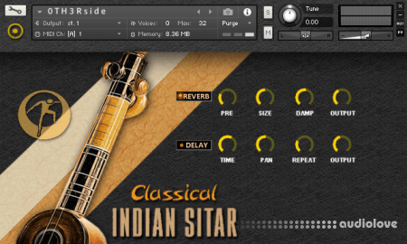 Organic Loops Classical Indian Sitar