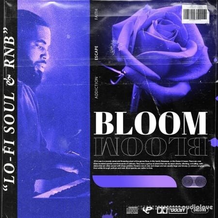 Prime Loops BLOOM RnB Soul Keys