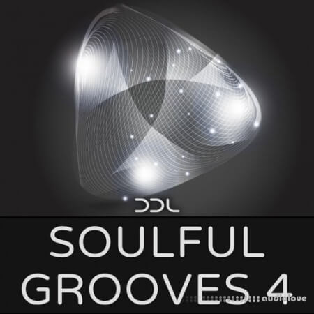 Deep Data Loops Soulful Grooves 4