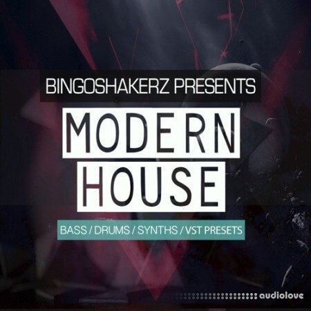 Bingoshakerz Modern House