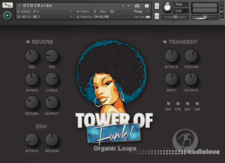 Organic Loops Tower Of Funk