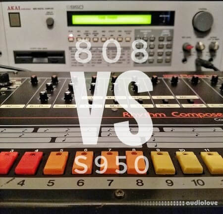 Bullyfinger 808 vs. S950