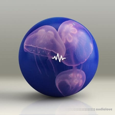 WavSupply Manso JellyFish (Dancehall Drum Kit)