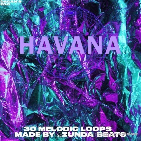 @Zunda Beats Havana Loop Kit