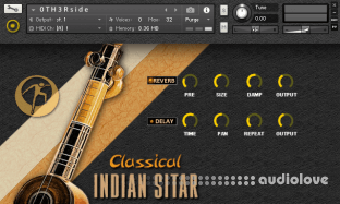 Organic Loops Classical Indian Sitar