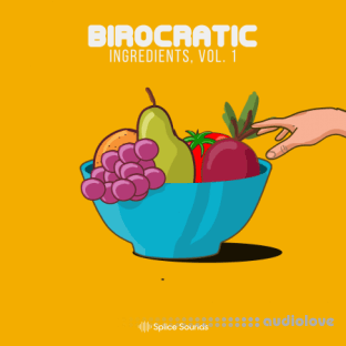 Splice Sounds Birocratic's Ingredients Sample Pack