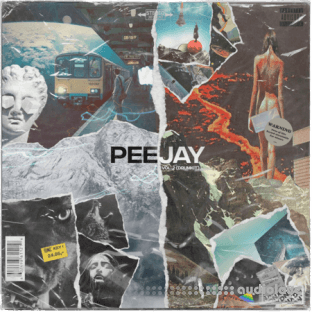 PeeJay Volume II (Drum Kit)