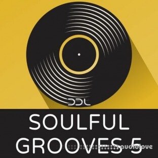 Deep Data Loops Soulful Grooves 5