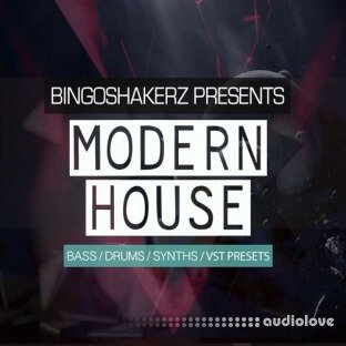 Bingoshakerz Modern House