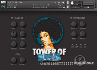 Organic Loops Tower Of Funk