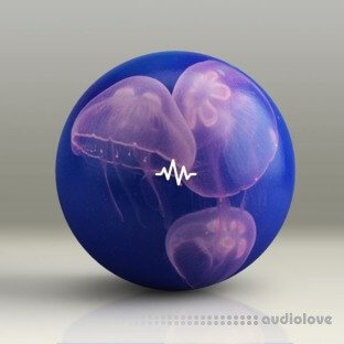 WavSupply Manso JellyFish (Dancehall Drum Kit)