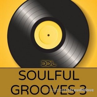 Deep Data Loops Soulful Grooves 3