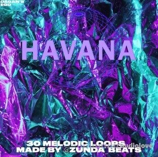 @Zunda Beats Havana Loop Kit