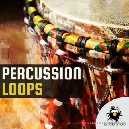 Chop Shop Samples Percussion Loops