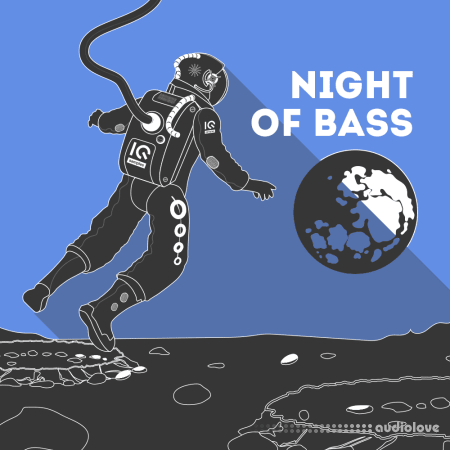 IQ Samples Night Of Bass