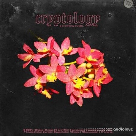 Cryptic Cryptology (Drum Kit)