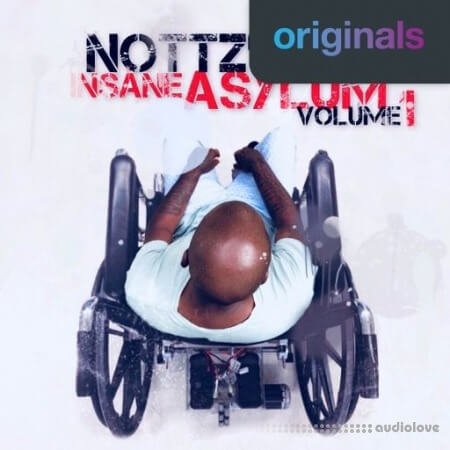 Nottz's Insane Asylum Volume 1