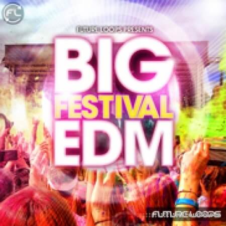 Future Loops Big Festival EDM