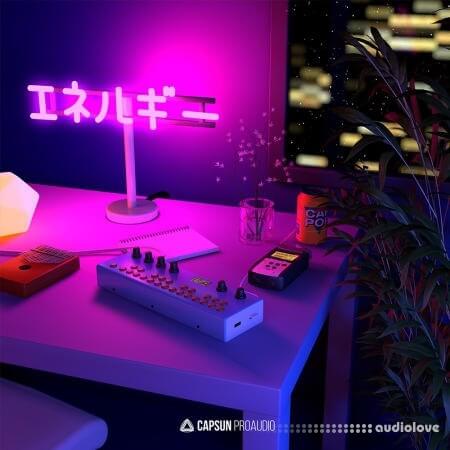 Capsun ProAudio Bedroom Beats And Lofi Hip Hop Vol.2