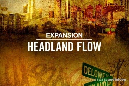 Native Instruments Maschine Expansion Headland Flow