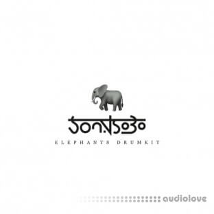 Sonus 030 Elephants Drumkit