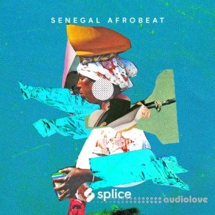 Splice Sessions Senegal Afrobeat