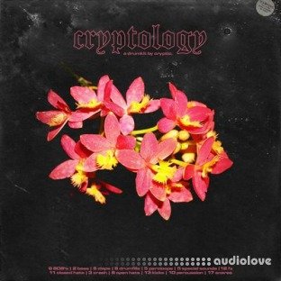 Cryptic Cryptology (Drum Kit)