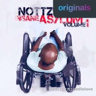 Nottz's Insane Asylum Volume 1